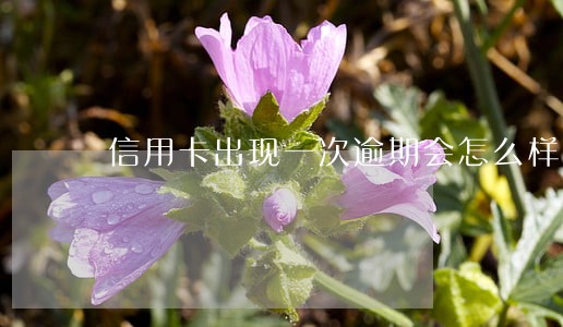 信用卡出现一次逾期会怎么样