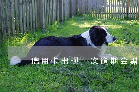 信用卡出现一次逾期会黑名单 信用卡出现一次逾期会黑名单