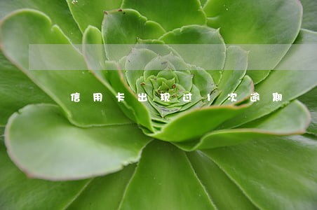信用卡出现过1次逾期 信用卡出现过1次逾期