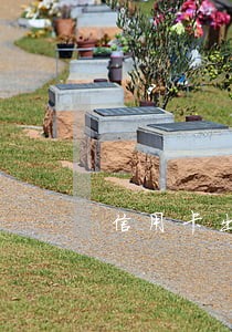 信用卡出现逾期会有什么影响 信用卡出现逾期会有什么影响