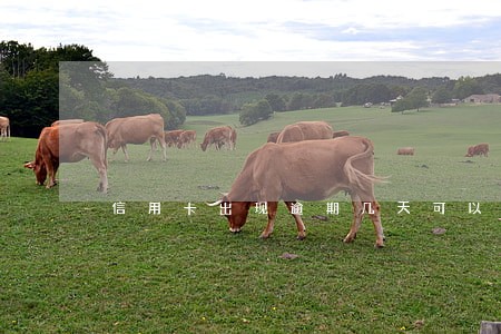 信用卡出现逾期几天可以消除 信用卡出现逾期几天可以消除