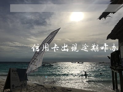 信用卡出现逾期咋办 信用卡出现逾期咋办