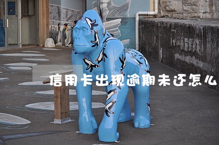 信用卡出现逾期未还怎么办 信用卡出现逾期未还怎么办