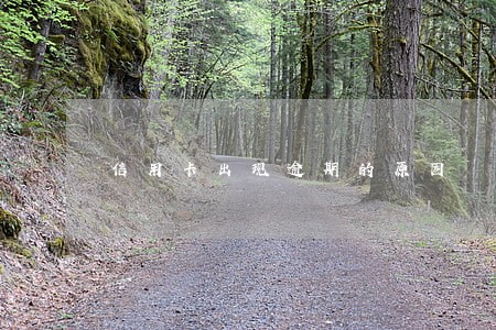信用卡出现逾期的原因 信用卡出现逾期的原因