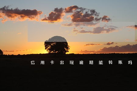 信用卡出现逾期能转账吗 信用卡出现逾期能转账吗