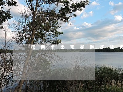 信用卡出现逾期还能再申请吗
