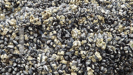 信用卡出现逾期银行会怎么处理 信用卡出现逾期银行会怎么处理