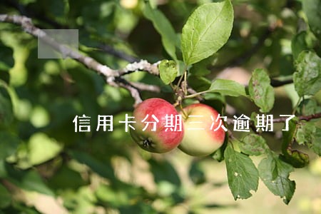 信用卡分期三次逾期了 信用卡分期三次逾期了