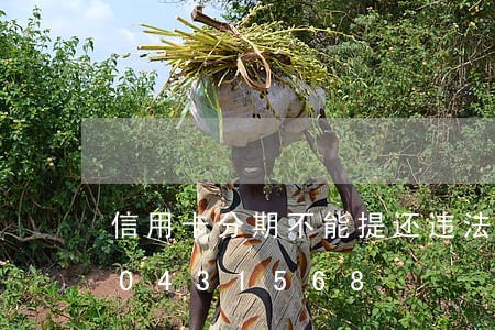 信用卡分期不能提还违法吗/2023020431568 信用卡分期不能提还违法吗/2023020431568