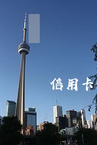信用卡分期为什么上征信逾期 信用卡分期为什么上征信逾期