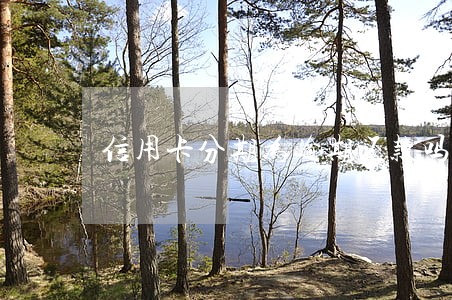信用卡分期为逾期还款吗 信用卡分期为逾期还款吗