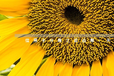 信用卡分期之后逾期1天 信用卡分期之后逾期1天