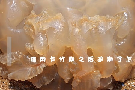 信用卡分期之后逾期了怎么办