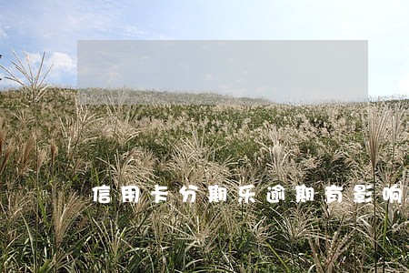 信用卡分期乐逾期有影响吗