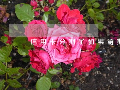 信用卡分期了如果逾期会怎样 信用卡分期了如果逾期会怎样