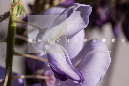 信用卡分期了然后要逾期 信用卡分期了然后要逾期