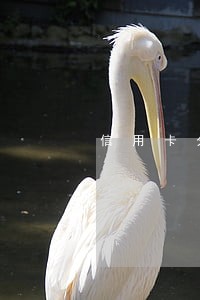 信用卡分期了然后逾期了 信用卡分期了然后逾期了