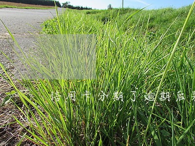 信用卡分期了逾期后果 信用卡分期了逾期后果
