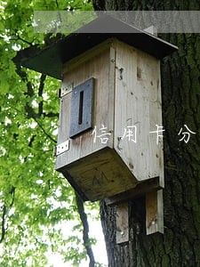 信用卡分期了逾期怎么办