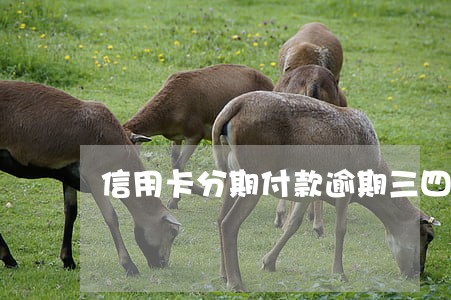 信用卡分期付款逾期三四天
