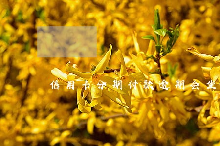 信用卡分期付款逾期会坐牢吗 信用卡分期付款逾期会坐牢吗