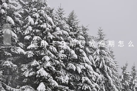 信用卡分期付款逾期怎么办 信用卡分期付款逾期怎么办