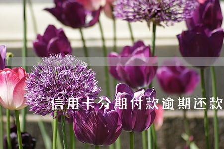 信用卡分期付款逾期还款怎么办 信用卡分期付款逾期还款怎么办