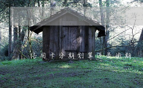 信用卡分期划算还是逾期 信用卡分期划算还是逾期