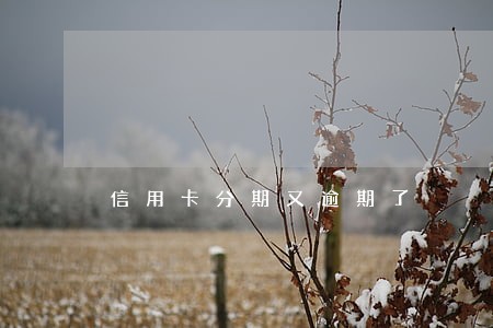 信用卡分期又逾期了 信用卡分期又逾期了