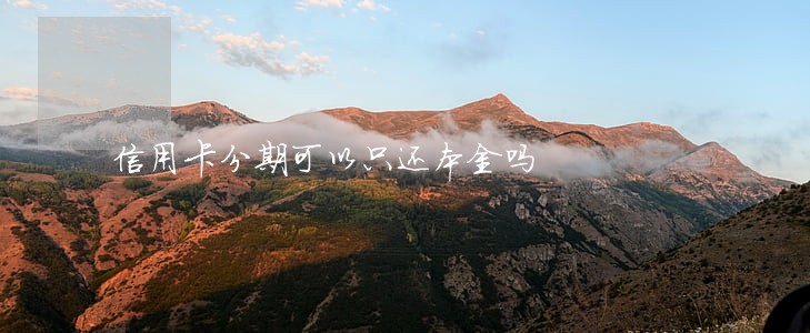 信用卡分期可以只还本金吗 信用卡分期可以只还本金吗