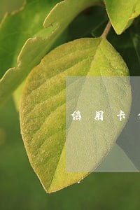 信用卡分期可以逾期吗 信用卡分期可以逾期吗