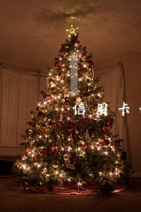 信用卡分期后全部逾期该怎么办 信用卡分期后全部逾期该怎么办
