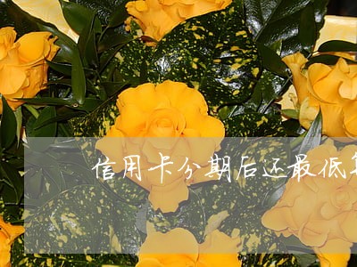 信用卡分期后还最低算逾期吗 信用卡分期后还最低算逾期吗