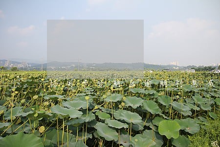 信用卡分期后逾期利息减免