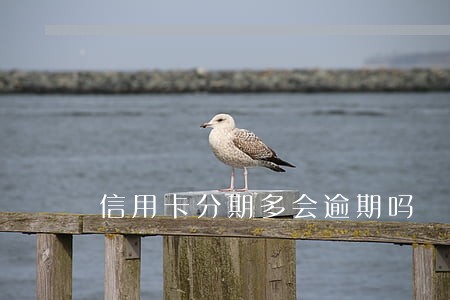 信用卡分期多会逾期吗 信用卡分期多会逾期吗
