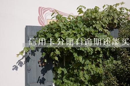 信用卡分期有逾期还能买房吗