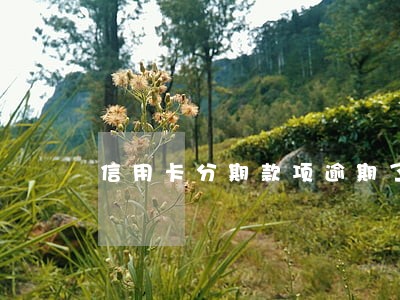 信用卡分期款项逾期了会坐牢吗