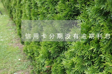 信用卡分期没有逾期利息会高吗 信用卡分期没有逾期利息会高吗