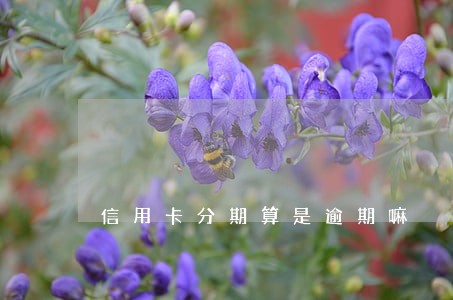信用卡分期算是逾期嘛