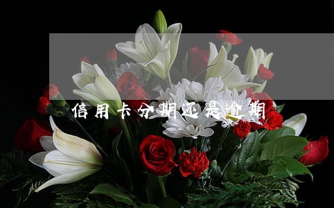信用卡分期还是逾期 信用卡分期还是逾期