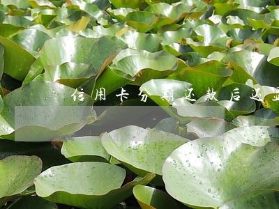 信用卡分期还款后还显示逾期
