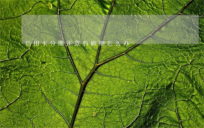 信用卡分期还款有逾期怎么办 信用卡分期还款有逾期怎么办