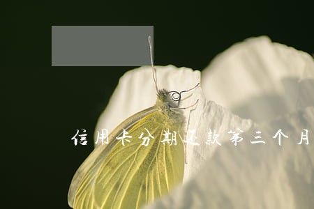 信用卡分期还款第三个月逾期五天 信用卡分期还款第三个月逾期五天
