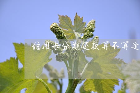 信用卡分期还款算不算逾期6 信用卡分期还款算不算逾期6