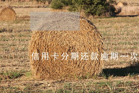 信用卡分期还款逾期一次性还清 信用卡分期还款逾期一次性还清