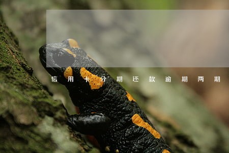 信用卡分期还款逾期两期 信用卡分期还款逾期两期