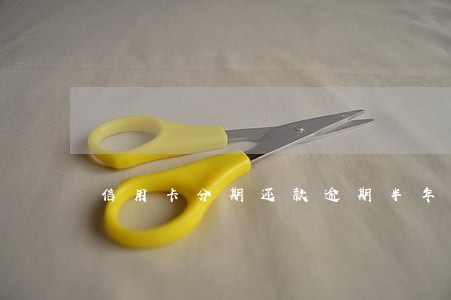 信用卡分期还款逾期半年 信用卡分期还款逾期半年
