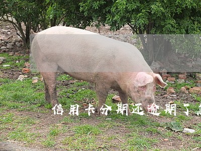 信用卡分期还逾期了怎么办