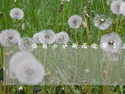 信用卡分期还逾期了怎么半 信用卡分期还逾期了怎么半