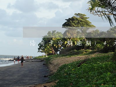 信用卡分期逾期14天有影响吗